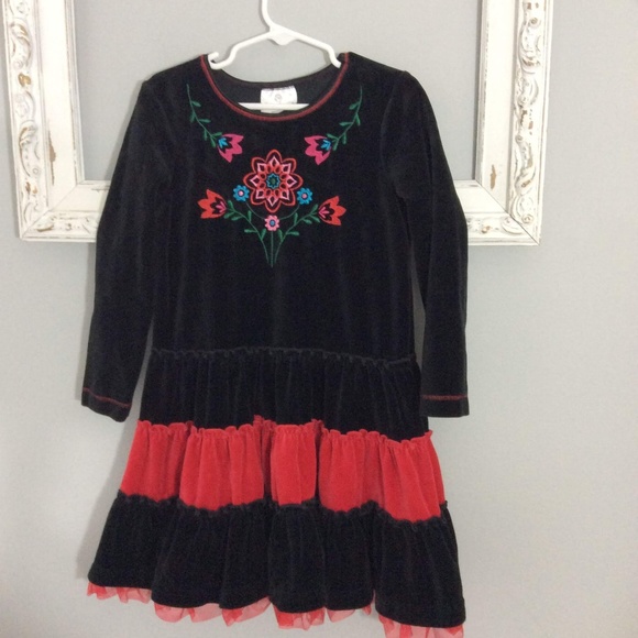 Hanna Andersson Other - Hanna Andersson Velvet Embroidered Ruffle Dress 5